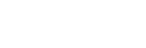 Wirtschaftspiloten
